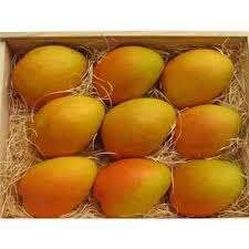 BADAMI MANGO CASE