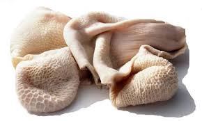 FROZEN BEEF TRIPE