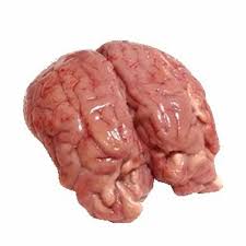 FROZEN LAMB BRAIN